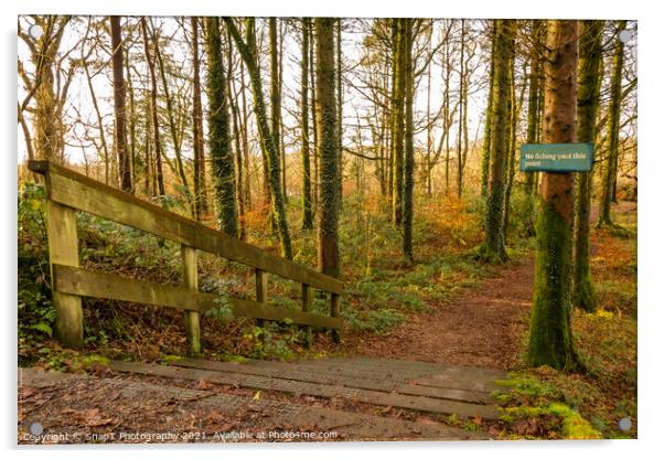 No fishing beyond this point sign, on a broafleaf woodland trail and steps Acrylic by SnapT Photography