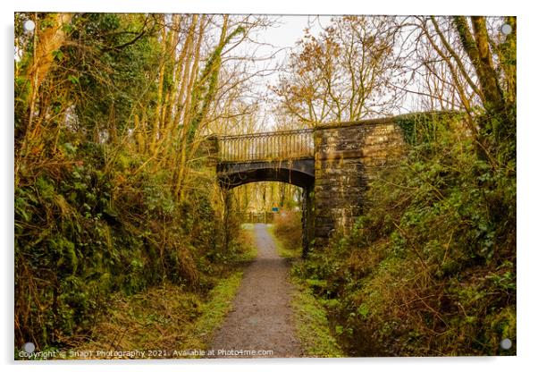 Road bridge at Lodge of Kelton over the old Paddy Line or Galloway railway line Acrylic by SnapT Photography