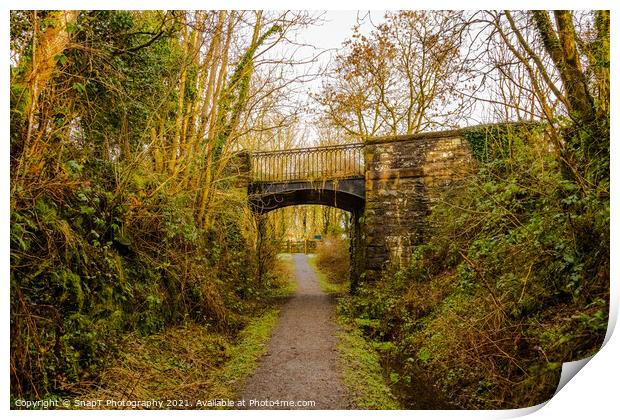 Road bridge at Lodge of Kelton over the old Paddy Line or Galloway railway line Print by SnapT Photography