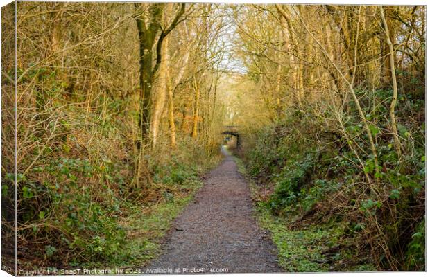Woodland trail along the old Dumfries and Galloway Railway line, Scotland Canvas Print by SnapT Photography