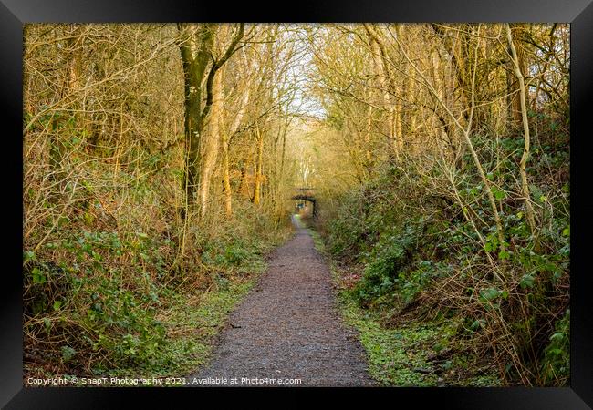 Woodland trail along the old Dumfries and Galloway Railway line, Scotland Framed Print by SnapT Photography
