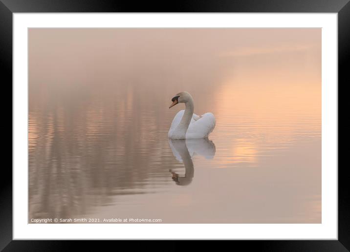 Swan Lake Framed Mounted Print by Sarah Smith