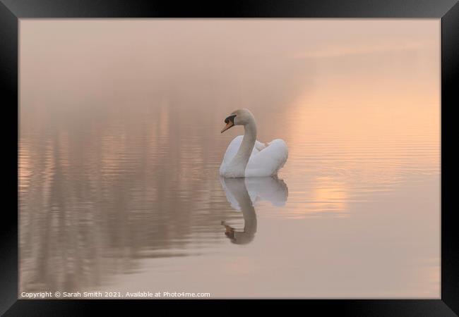 Swan Lake Framed Print by Sarah Smith