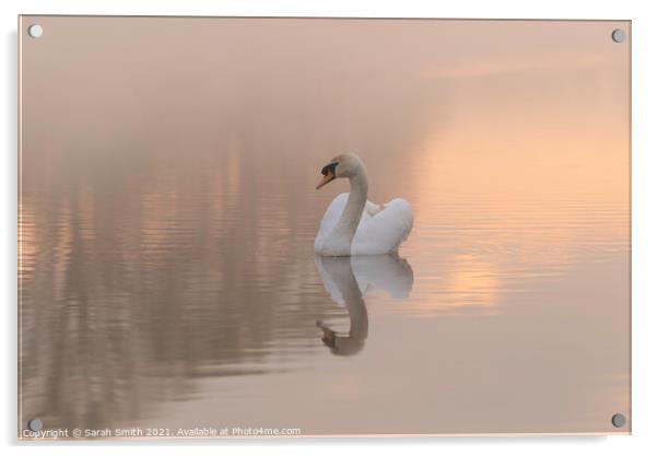 Swan Lake Acrylic by Sarah Smith