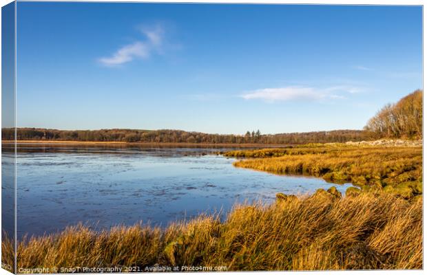 Low tide on a Scottish Coastal salt marsh at Kirkcudbright bay during the winter Canvas Print by SnapT Photography