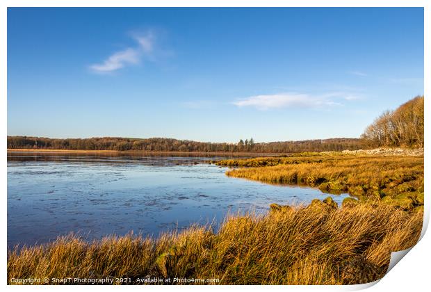 Low tide on a Scottish Coastal salt marsh at Kirkcudbright bay during the winter Print by SnapT Photography