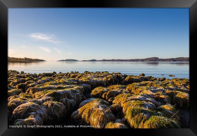 Frost covered grass on the coastline of Kirkcudbright bay at low tide Framed Print by SnapT Photography