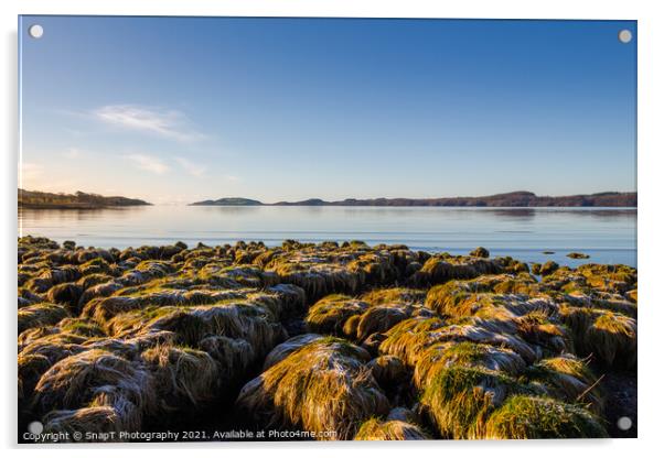 Frost covered grass on the coastline of Kirkcudbright bay at low tide Acrylic by SnapT Photography