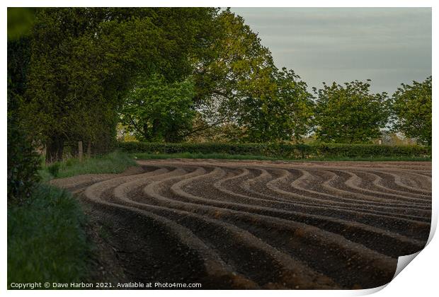 The Ploughed Field Print by Dave Harbon