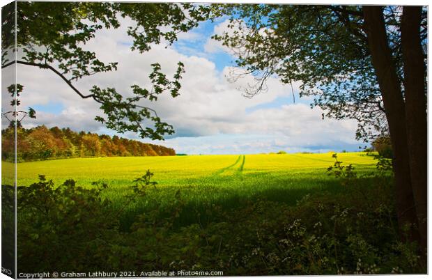 Spring Crop in the Cotswolds Canvas Print by Graham Lathbury