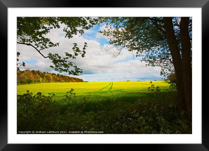 Spring Crop in the Cotswolds Framed Mounted Print by Graham Lathbury