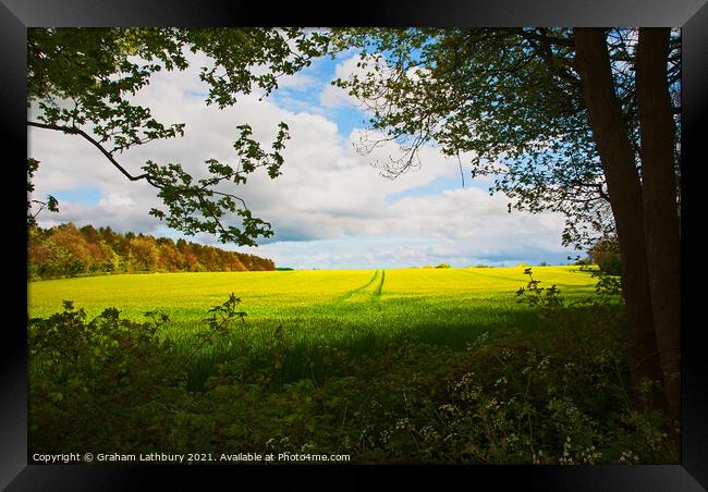 Spring Crop in the Cotswolds Framed Print by Graham Lathbury