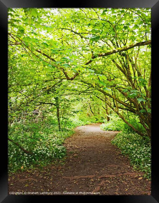 A forest track Framed Print by Graham Lathbury