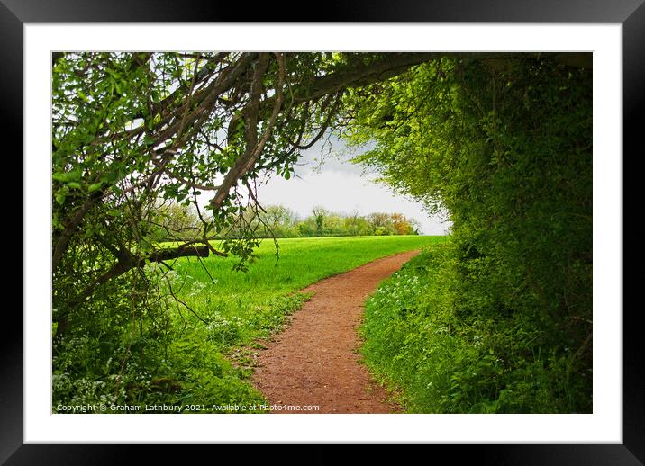 A field viewed forest track Framed Mounted Print by Graham Lathbury
