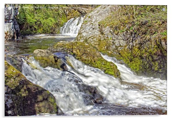 Beezley Falls at Ingleton, Yorkshire Dales. Acrylic by David Birchall
