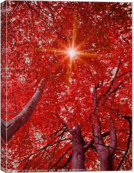 Sunlight through Autumn leaves Canvas Print by Graham Lathbury