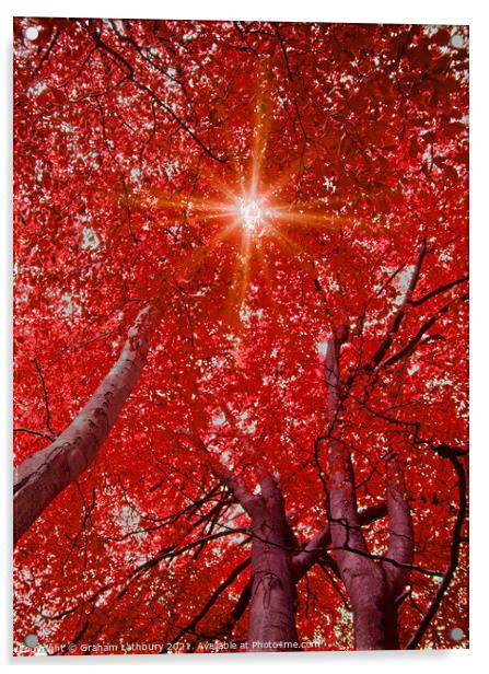 Sunlight through Autumn leaves Acrylic by Graham Lathbury