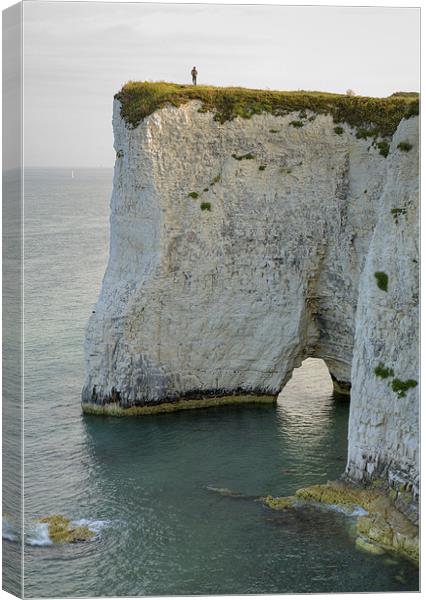 Old Harry Rocks Canvas Print by Ian Middleton