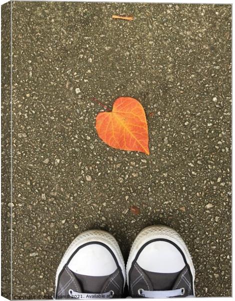 Heart shaped leaf  Canvas Print by Anna Hamill