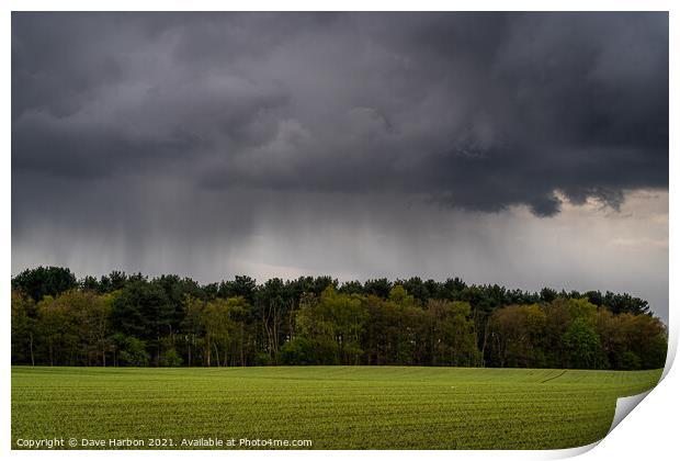 Shower above the woods Print by Dave Harbon