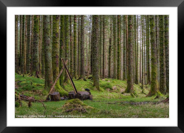 The Woods Framed Mounted Print by Dave Harbon