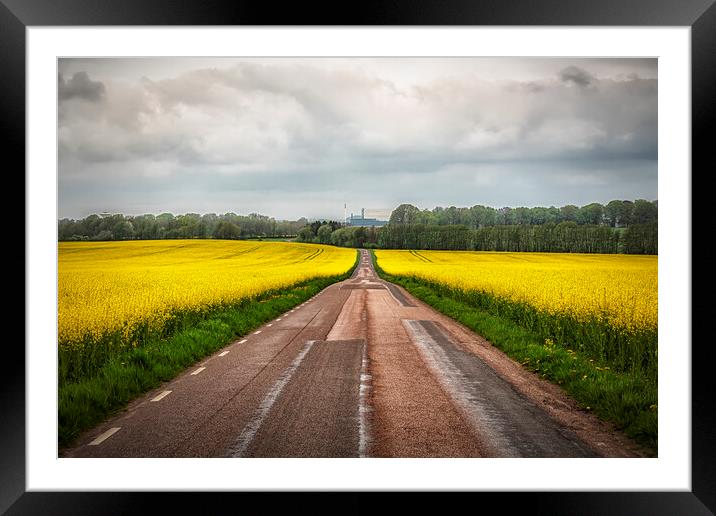 Rapeseed Field Either Side of the Road Framed Mounted Print by Antony McAulay