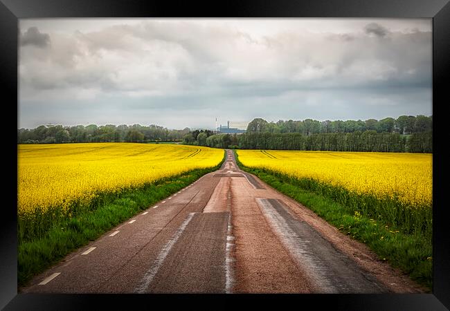 Rapeseed Field Either Side of the Road Framed Print by Antony McAulay