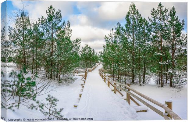 Boardwalk covered in snow among pine trees Canvas Print by Maria Vonotna