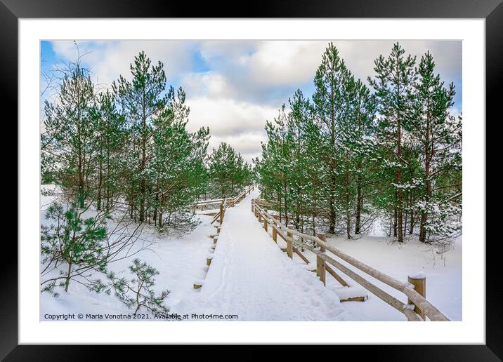 Boardwalk covered in snow among pine trees Framed Mounted Print by Maria Vonotna