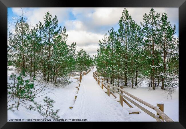 Boardwalk covered in snow among pine trees Framed Print by Maria Vonotna