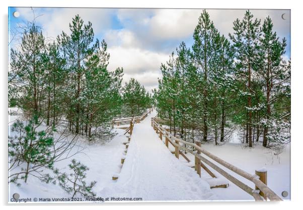 Boardwalk covered in snow among pine trees Acrylic by Maria Vonotna