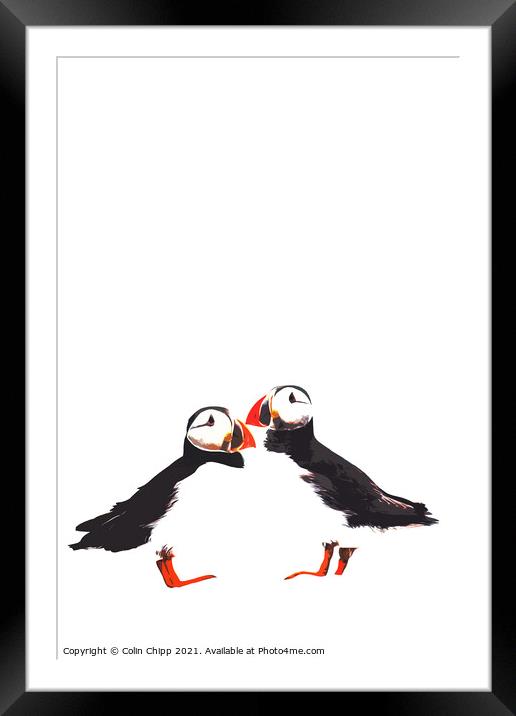 Stylised puffins Framed Mounted Print by Colin Chipp