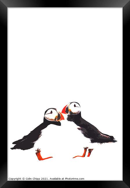 Stylised puffins Framed Print by Colin Chipp