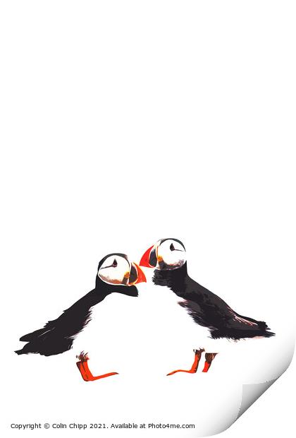 Stylised puffins Print by Colin Chipp