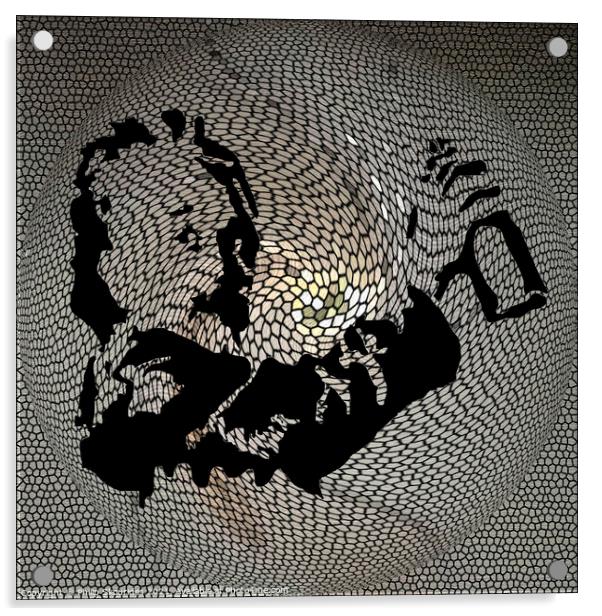 Albert Einstein Acrylic by Philip Skourides