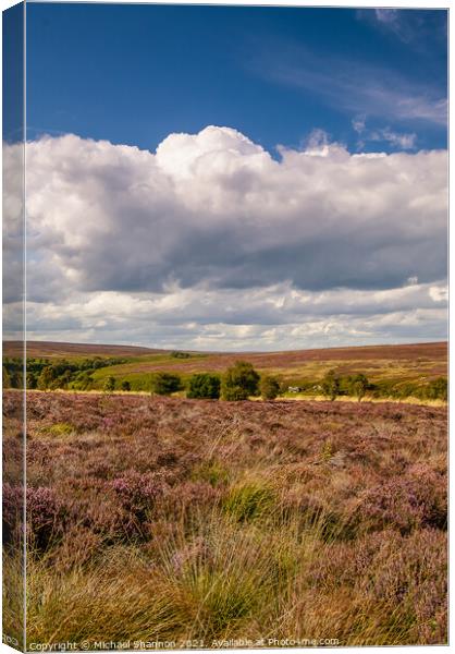 The heather moorland of the North Yorkshire Moors Canvas Print by Michael Shannon