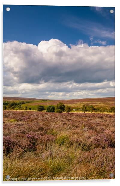 The heather moorland of the North Yorkshire Moors Acrylic by Michael Shannon