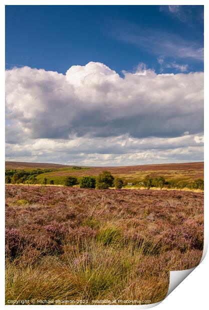 The heather moorland of the North Yorkshire Moors Print by Michael Shannon