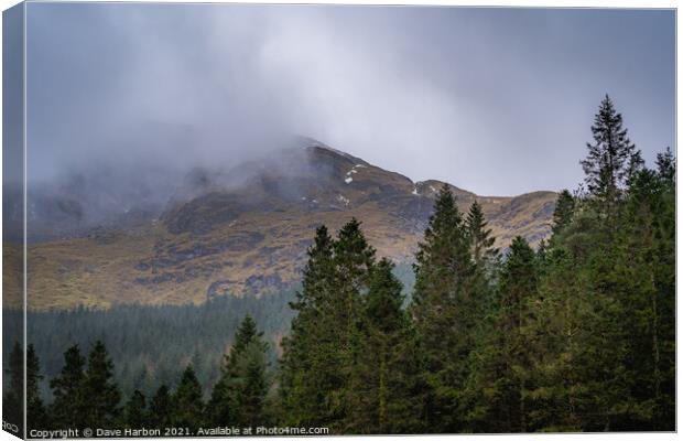 Glen Croe View Canvas Print by Dave Harbon