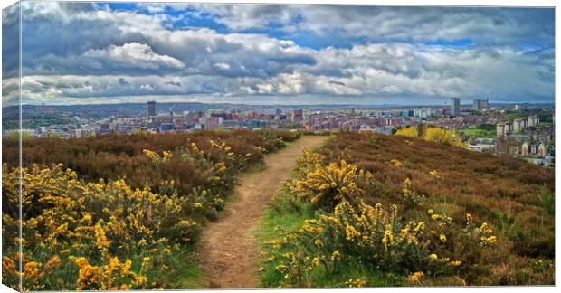 Parkwood Springs View over Sheffield  Canvas Print by Darren Galpin