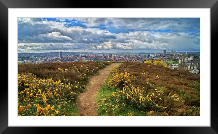 Parkwood Springs View over Sheffield  Framed Mounted Print by Darren Galpin