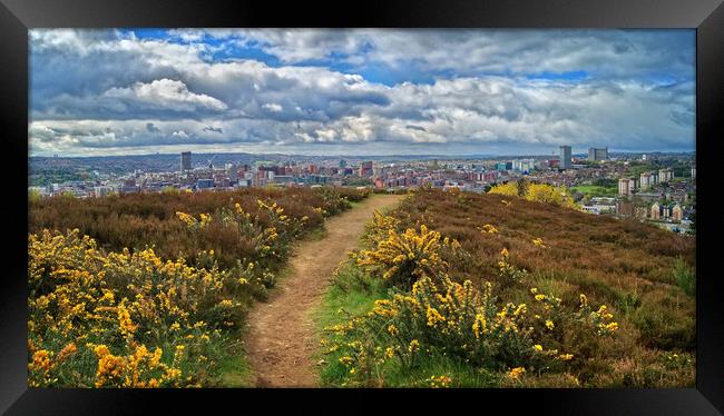 Parkwood Springs View over Sheffield  Framed Print by Darren Galpin