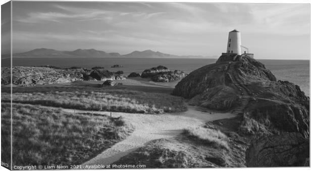 The Path to Tŵr Mawr Monochrome Canvas Print by Liam Neon