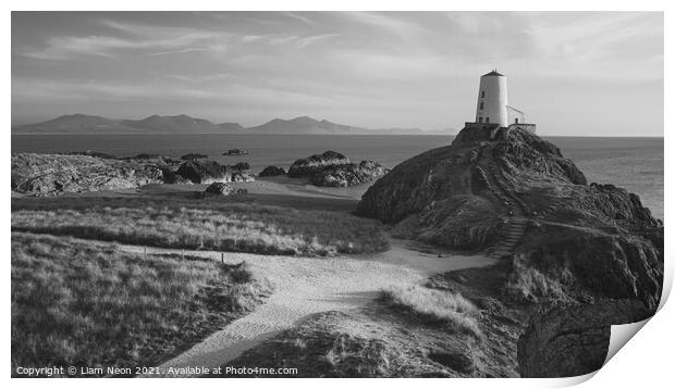 The Path to Tŵr Mawr Monochrome Print by Liam Neon