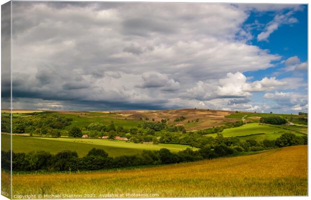 The North Yorkshire Moors in late Summer Canvas Print by Michael Shannon
