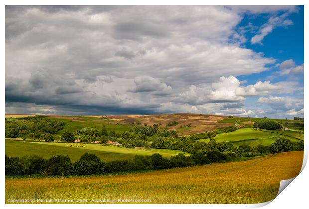 The North Yorkshire Moors in late Summer Print by Michael Shannon