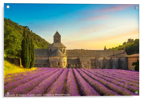 Senanque Abbey at Sunset Acrylic by Stefano Orazzini