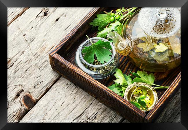 Healing tea with currant leaves Framed Print by Mykola Lunov Mykola
