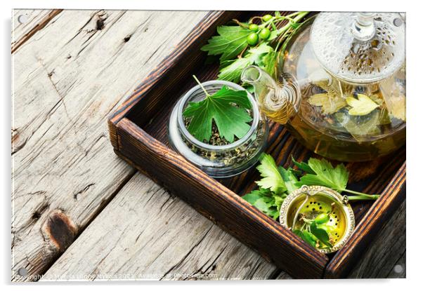 Healing tea with currant leaves Acrylic by Mykola Lunov Mykola