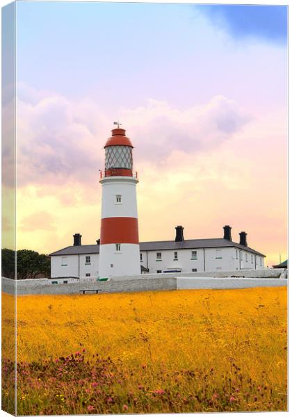 souter lighthouse 2 Canvas Print by Northeast Images